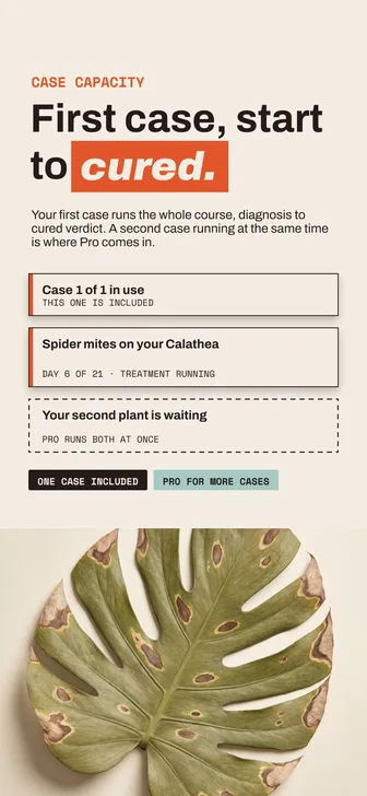 Houseplant SOS: how many cases you can track